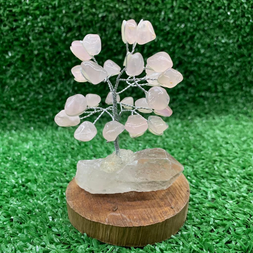 Árvore de Pedra Rolada - 09 Galhos