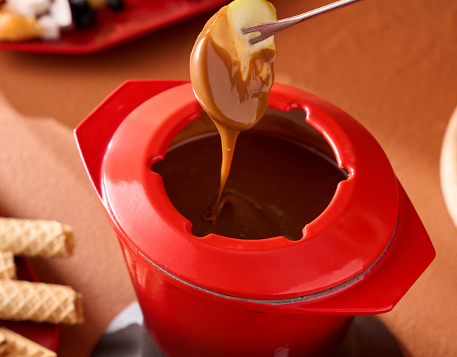 APARELHO DE FONDUE GOURMAND Vermelho Le Creuset
