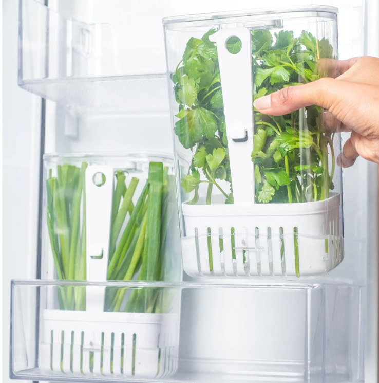 ORGANIZADOR DE TEMPEROS 2,3L - CLEAR FRESH - OU
