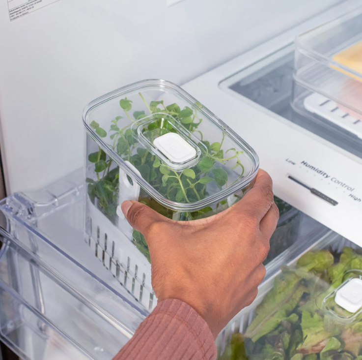 ORGANIZADOR DE TEMPEROS 1,5L - CLEAR FRESH - OU
