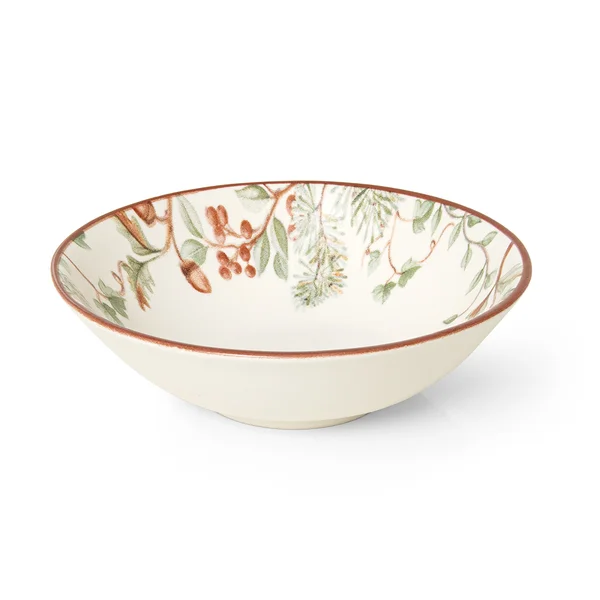 BOWL AQUARELLE GNOMOS
