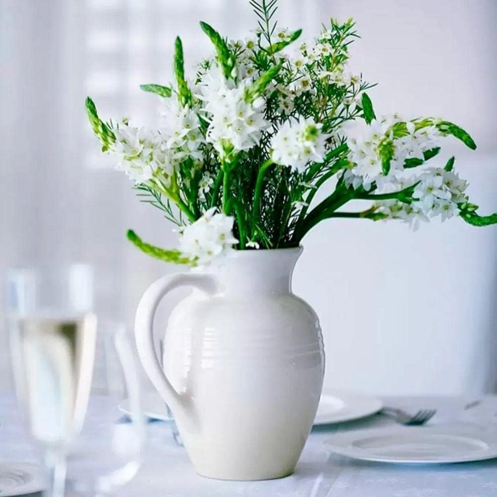 JARRA 2,2L  White Le Creuset