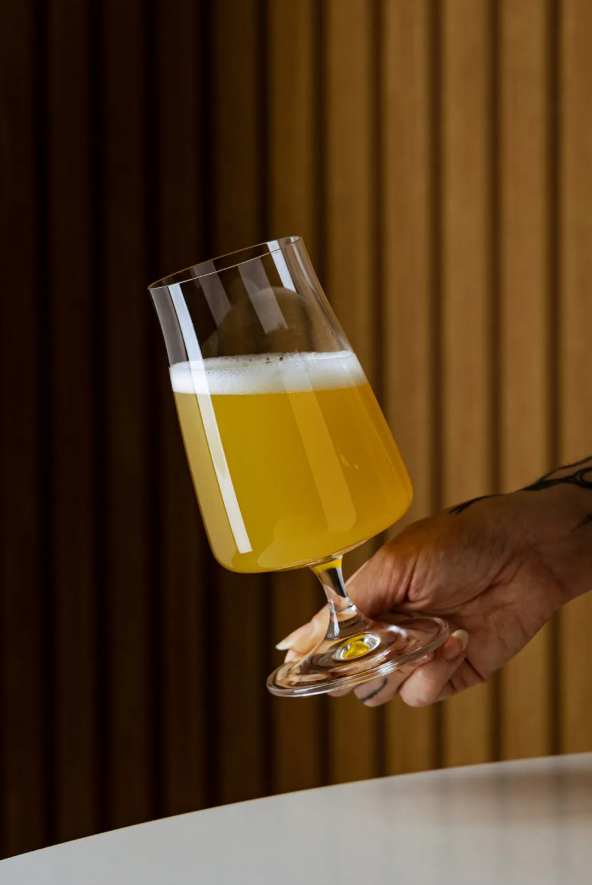 JOGO 6 TAÇAS CERVEJA DE CRISTAL ECOLOGICO ALEX 380ML