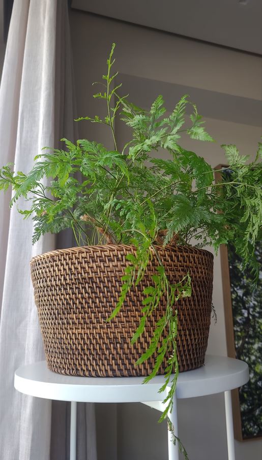 Cachepot Aurora de rattan | Casa Akar (2)