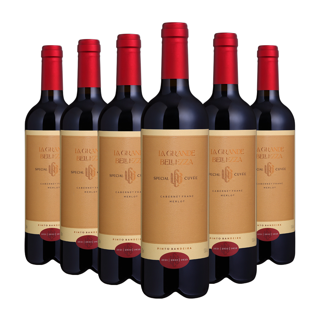 Special Cuv&eacute;e | Winebox &ndash; 6 un