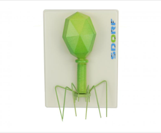 MODELO DE BACTERIÓFAGO