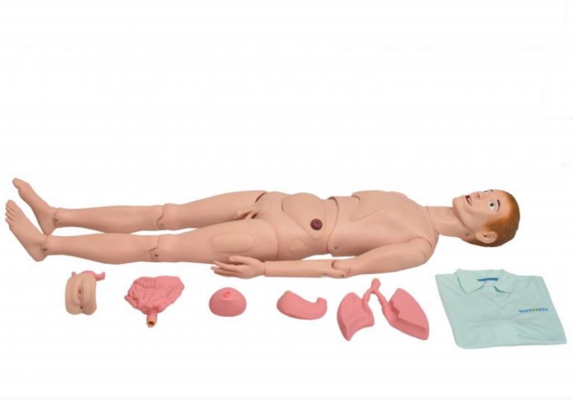MANEQUIM BISSEXUAL ADULTO C ÓRGÃOS INTERNOS P TREINO DE ENFERMAGEM DE 1,70CM