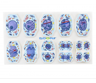 MEIOSE EM 10 FASES