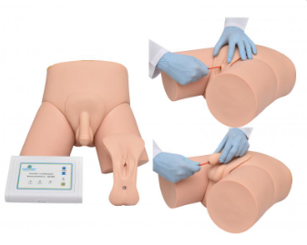 SIMULADOR DE CATETERIZAÇÃO VESICAL BISSEXUAL ELETRÔNICO