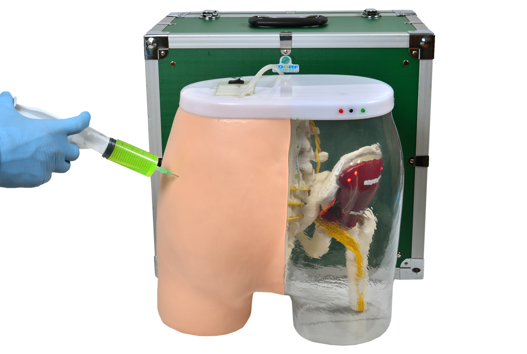 SIMULADOR DE INJEÇÃO INTRAMUSCULAR NO GLÚTEO E VISUALIZAÇÃO ÓSSEA, MUSCULAR E NERVOSA