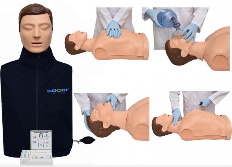 SIMULADOR DE RCP TORSO C DISPLAY ELETRÔNICO