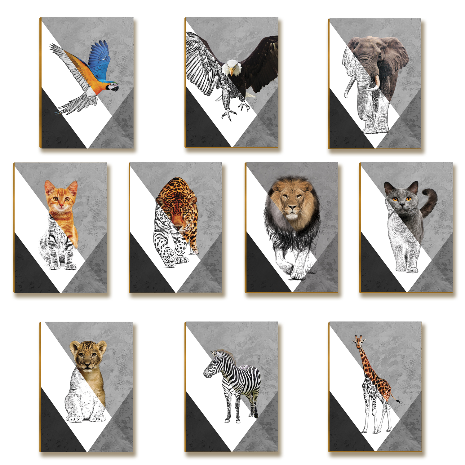 Kit 10 Placas MDF Animais da Selva Decorativa Moderna DC15