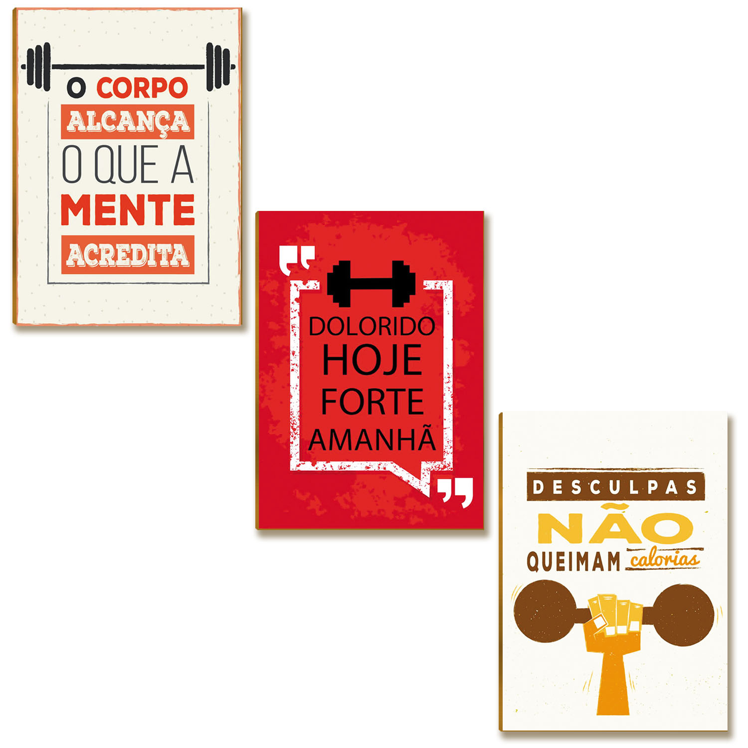Kit 03 Placas MDF Frases Academia Decoração Tam A4 AC1