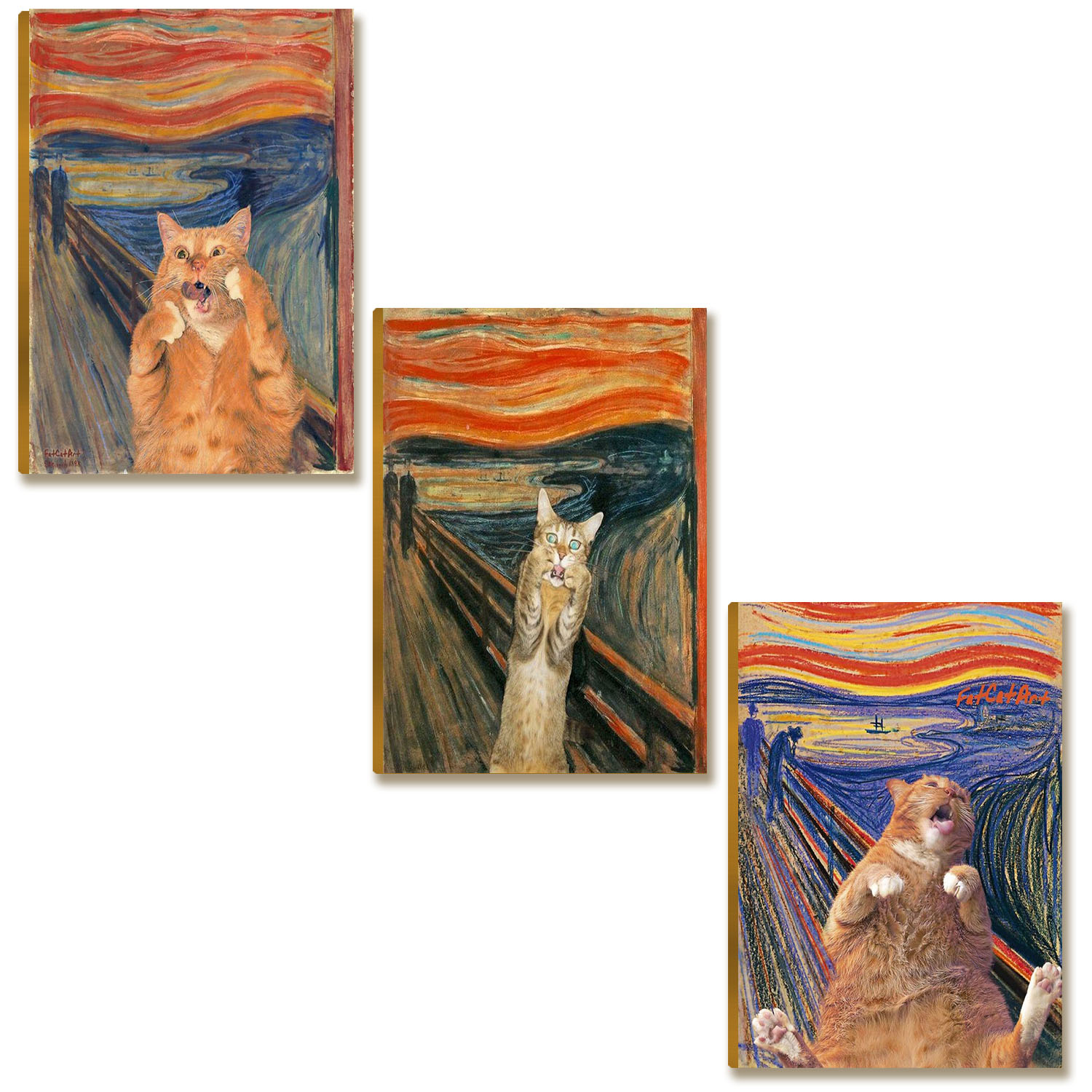Kit 3 Placas MDF Pintura de Gatos Estilo Humorístico DC30