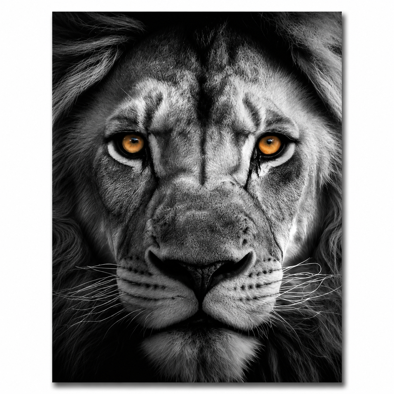 Quadro Decoração Placa MDF A4 Animais Sala Quarto Escritório
